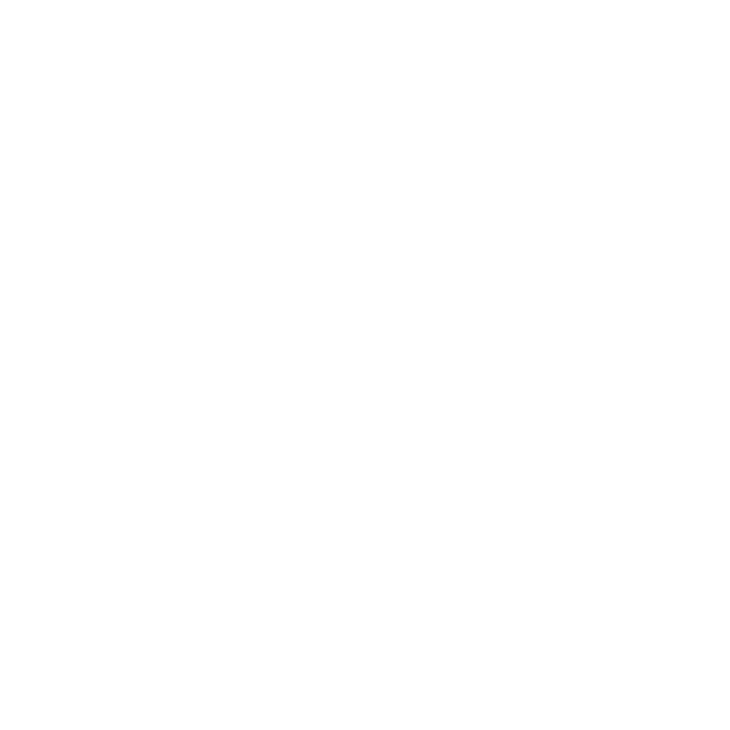 Follies Bar